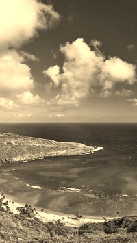 Sepia