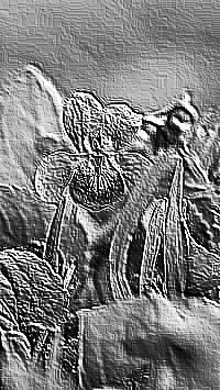 Skamielina