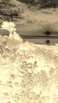 Sepia + Negatyw