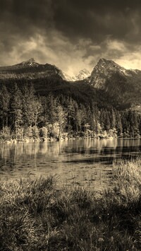 Szary + Sepia