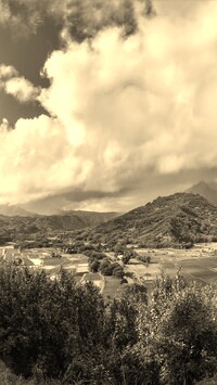 Szary + Sepia
