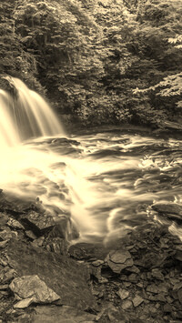 Sepia