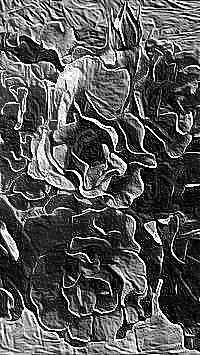 Skamielina