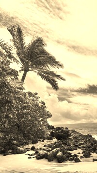 Sepia