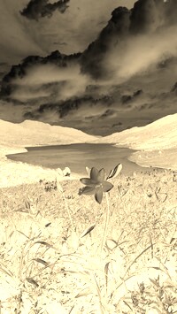 Sepia + Negatyw