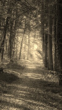 Szary + Sepia
