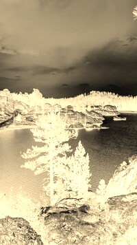Sepia + Negatyw