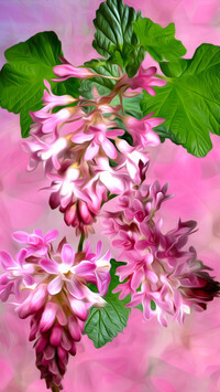 Oryginalny obrazek