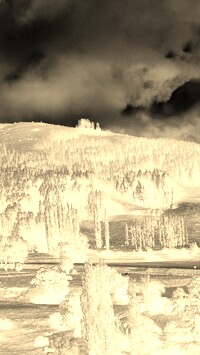 Sepia + Negatyw
