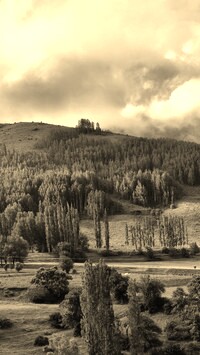 Sepia