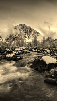 Sepia