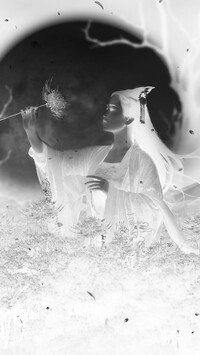 Szary + Negatyw