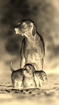 Sepia + Negatyw