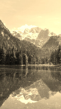 Szary + Sepia