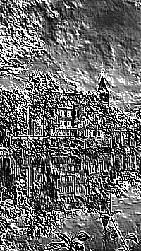 Skamielina