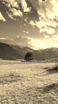 Szary + Sepia