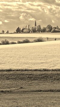 Szary + Sepia