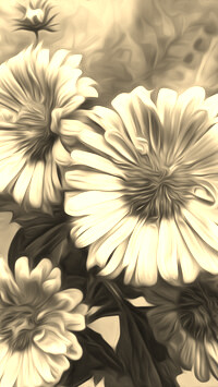 Szary + Sepia