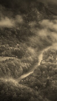 Sepia