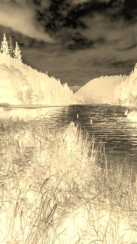 Sepia + Negatyw
