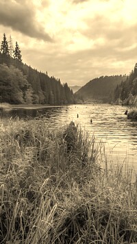 Sepia