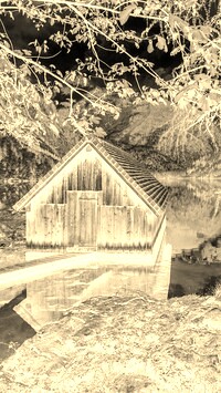Sepia + Negatyw
