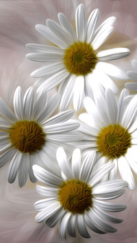 Oryginalny obrazek