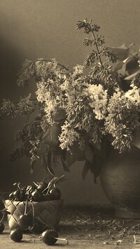Szary + Sepia