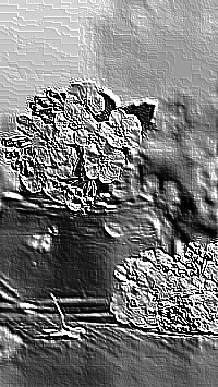 Skamielina