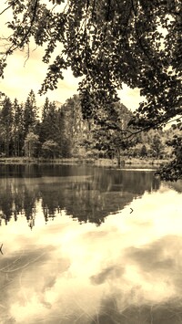 Sepia