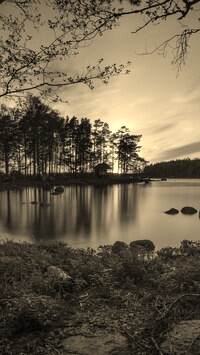 Sepia
