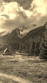 Sepia