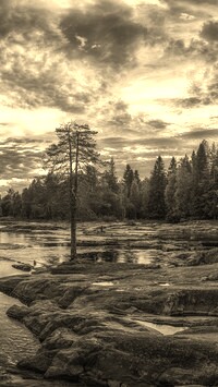 Szary + Sepia