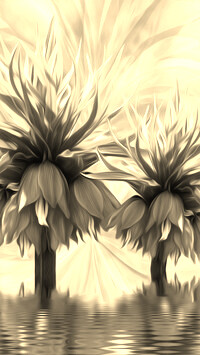 Szary + Sepia
