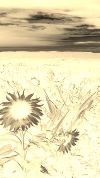 Sepia + Negatyw