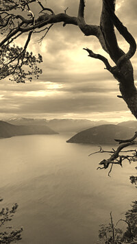 Sepia