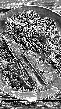 Skamielina