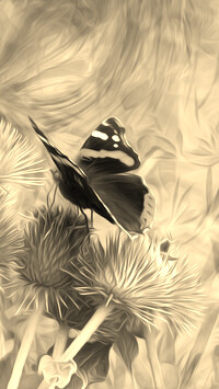 Szary + Sepia