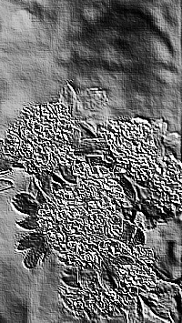 Skamielina