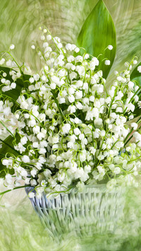 Oryginalny obrazek
