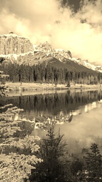 Sepia