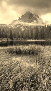 Sepia