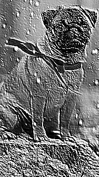 Skamielina