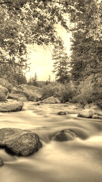 Sepia