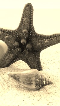 Szary + Sepia