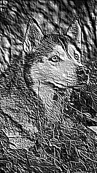 Skamielina