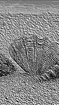 Skamielina