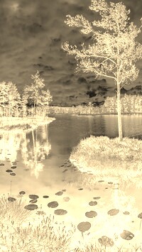 Sepia + Negatyw