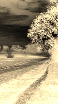 Sepia + Negatyw