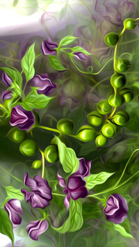 Oryginalny obrazek